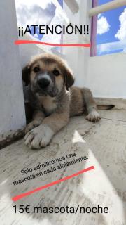 CASA DANIELA Apartamentos - 5