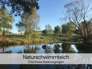 HexenburgbeiDresden Stylishes Designerappartement mit Schlafsofa, Terrasse - Nähe Sächsische Schweiz Dresden - 3