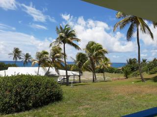 Studio Kaz Ananas au Manganao - 9