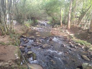 Rahsia Riverside Orchard at Janda Baik , Pahang - Bentong - 8