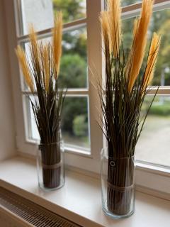 Monteurzimmer am Waldhotel - 6