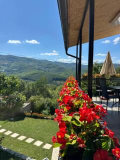 Apartman Milanović - 7