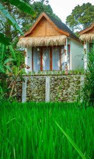 Rice Terrace Bungalows - Tetebatu - 5