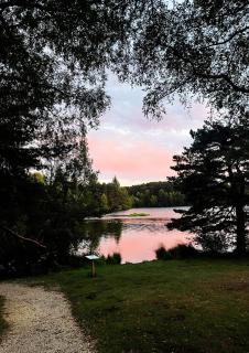 Cottages du Lac de Miel - 3