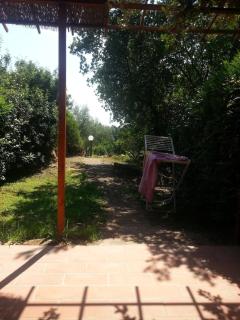 un oasi nel verde - 2