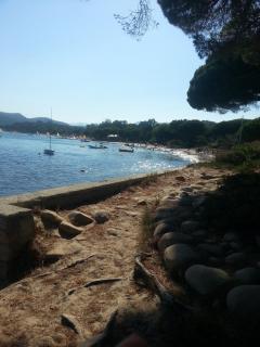 un oasi nel verde - 1