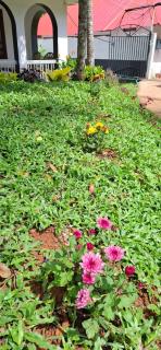 Hillview Beach Resort - 8