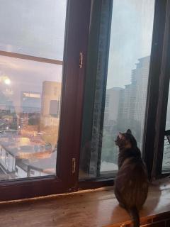 We host only females, نحن نستضيف الإناث فقط, हम केवल महिलाओं की मेजबानी करते हैं - 4