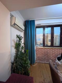 We host only females, نحن نستضيف الإناث فقط, हम केवल महिलाओं की मेजबानी करते हैं - 5