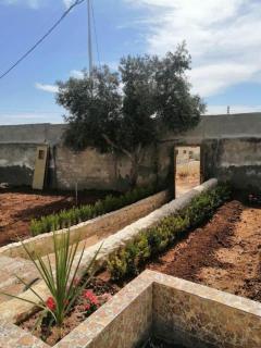 Spacious Villa near Ma'in Hot Springs & Mount Nebo - 5