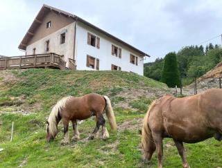 La Clé des Champs à Bussang - Gîte tout confort dans les Hautes Vosges - 8