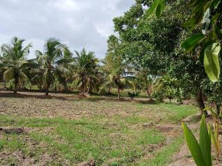 Livera airport vila - 7