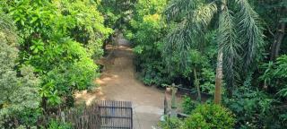 place of the jungle - 2