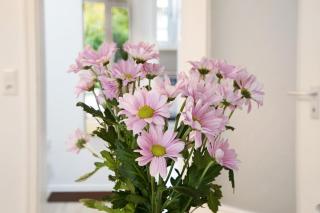 Geschäftsreisetraum mit 6 Betten - 1