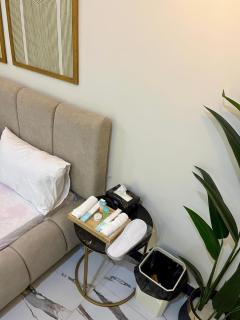 Designer 1BHK by ASNB Residence - 9