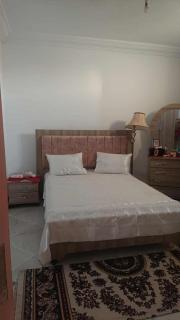 Bien venue en TUNISIE - 3