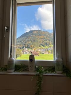 Mountain View Apartment - 9