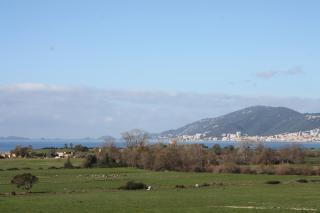 Rez de Villa face à la Mer - 6