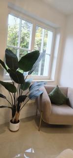 Rheintal Luxusresidenz in Röhndorf - Bad Honnef am Rhein - 2