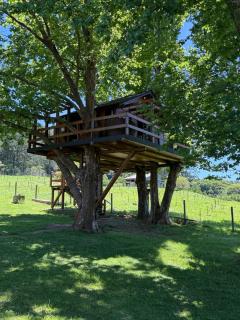 Casa na Árvore - Radosti Experiência - 6