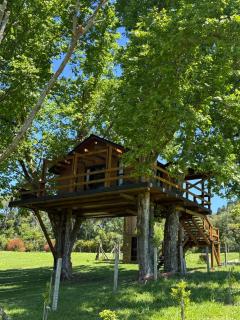 Casa na Árvore - Radosti Experiência - 0