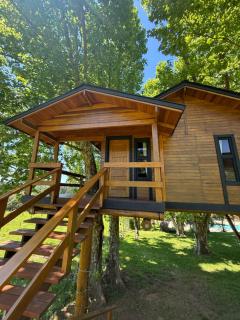 Casa na Árvore - Radosti Experiência - 8