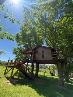 Casa na Árvore - Radosti Experiência - 7
