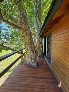 Casa na Árvore - Radosti Experiência - 5