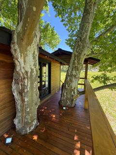 Casa na Árvore - Radosti Experiência - 4