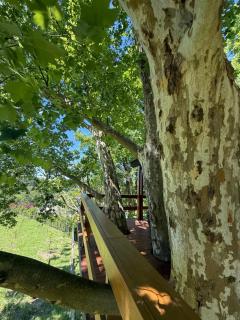 Casa na Árvore - Radosti Experiência - 3