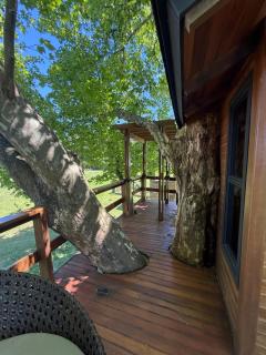 Casa na Árvore - Radosti Experiência - 2