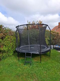 Apartment An der Weinstraße - 3