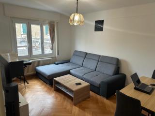 Renovated Apartment - Lausanne - 9