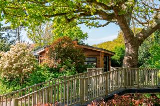 The Shrubbery Treehouse Park Facilities - 7