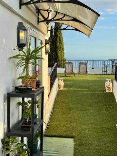 La Posada del Bonsai - 0