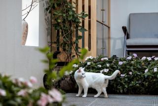 Yunhe Holiday Villa Designer Hotel - 0