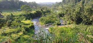 The Green Sidemen - Sidemen - 8