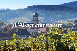 Le Moenchborn - la Maison des Vignerons - 1