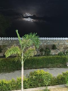 Angel hill resort - 8