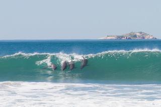 Apartamento Vista Bela - 3