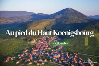 Le Schlossreben - La Maison des Vignerons - 1