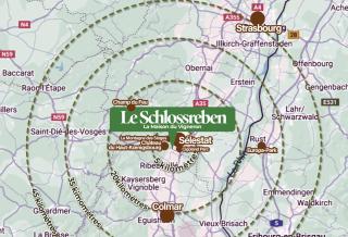 Le Schlossreben - La Maison des Vignerons - 2