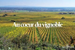 Le Hahnenberg - la Maison des Vignerons - 2