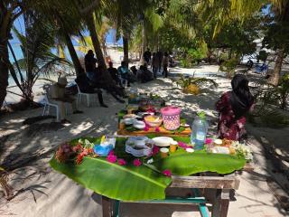 Fehivilla resistance - 5