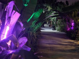 Fehivilla resistance - 8