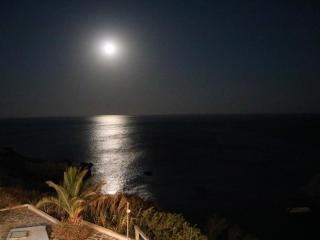 Castelia Bay Hotel - 8