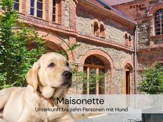 HexenburgbeiDresden Maisonette über 2 Etagen mit 4 Schlafzimmern, Kamin, Terrasse und Faßsauna, Nähe Sächsische Schweiz Dresden - 4