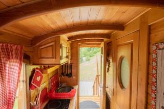 Ancolie - Nuits Bohèmes - 5