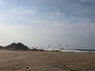 Casa Nisa l - Lovely 2BR beach home in Puertecito! - 6