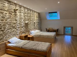 Gite du Tarare au calme dans son écrin de verdure - 4